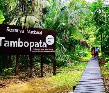 Tambopata y Lago Sandoval 4D/3N